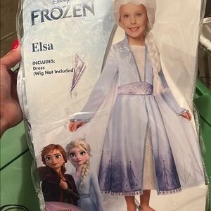 Disney Blue Elsa Costume Seasonal